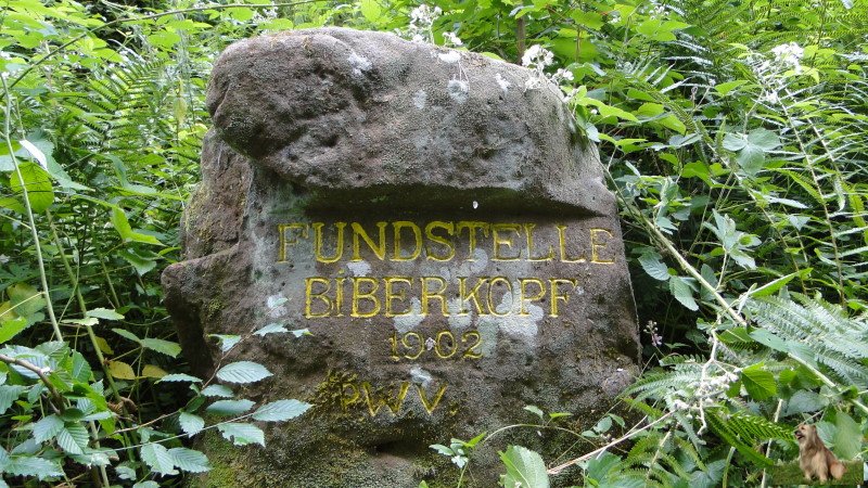 Ritterstein Nr. 017-2b Fundstelle Biberkopf 1902.JPG - Ritterstein Nr.17 Fundstelle Biberkopf 1902